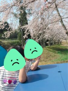三田市、小野公園、桜、4月